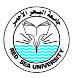جامعة البحر الأحمر logo